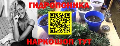 ECSTASY Туймазы