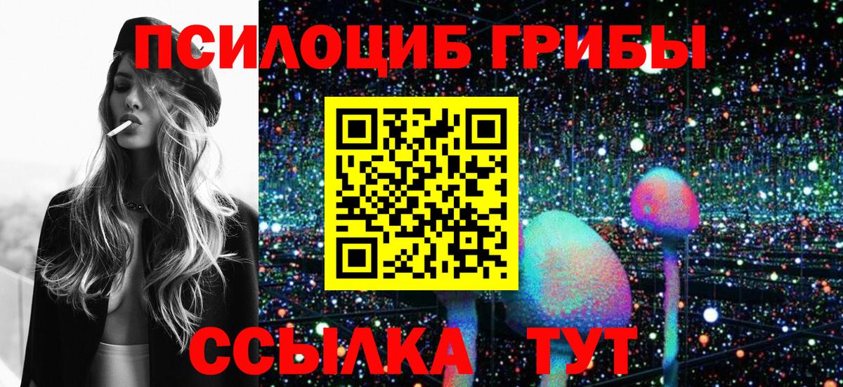 Белая Калитва  хочу   Псилоцибиновые грибы Psilocybine cubensis  Вход с VPN  Галлюциногенные грибы Psilocybe 